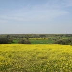 gallery_fysi_9
