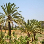 gallery_fysi_3