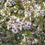 gallery_fysi_14