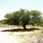 gallery_fysi_4