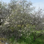 gallery_fysi_11